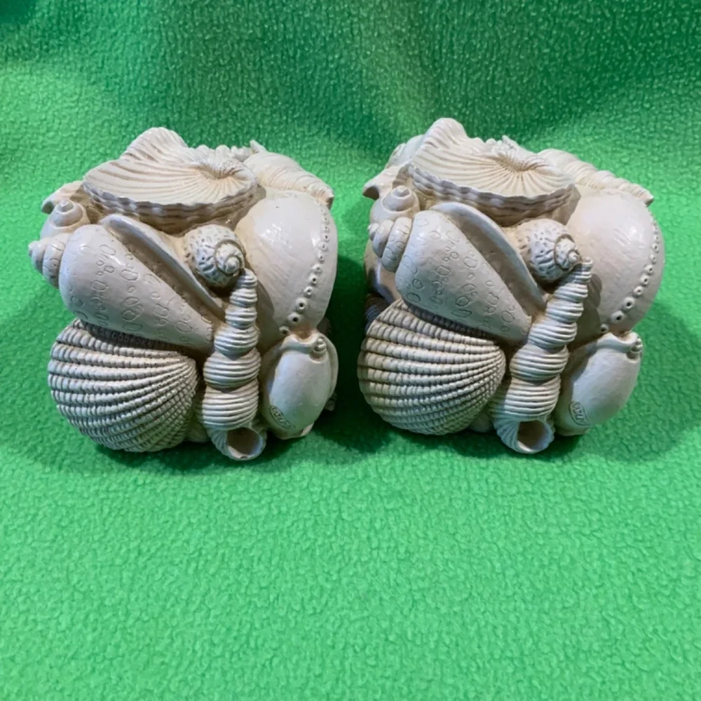 Wall Drapery Resin Brackets Beach Seashells (4)